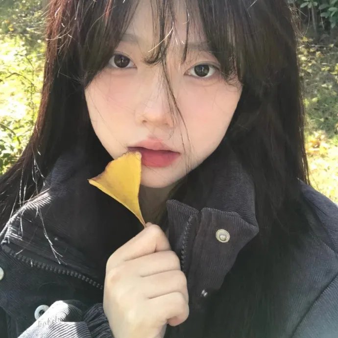 鉴你所见：图卡